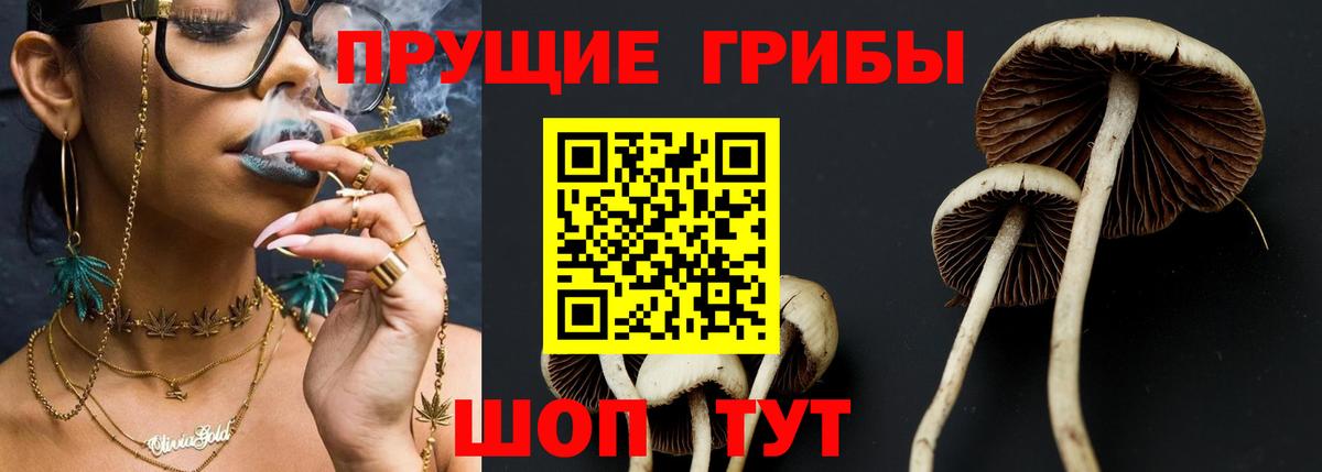 Заволжье  Галлюциногенные грибы Magic Shrooms  Вход с VPN 